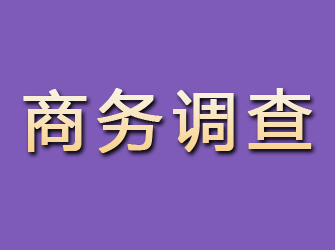 川汇商务调查